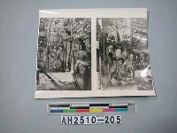 藏品(大同雲崗石窟)的圖片